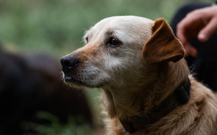Zbiórka FAME dla DIOZ - zdjęcie główne