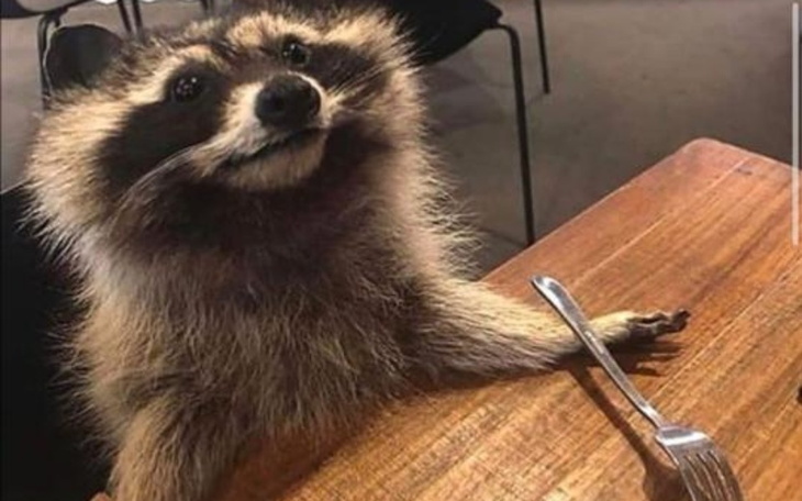 Zbiórka Na lepsze życie w trudnym czasie - zdjęcie główne