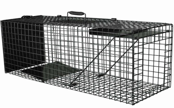 Zbiórka Klatki-łapki dla bezdomniaków - zdjęcie główne