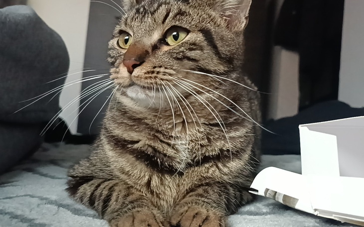 Zbiórka Lorek - zapalenie otrzewnej - zdjęcie główne