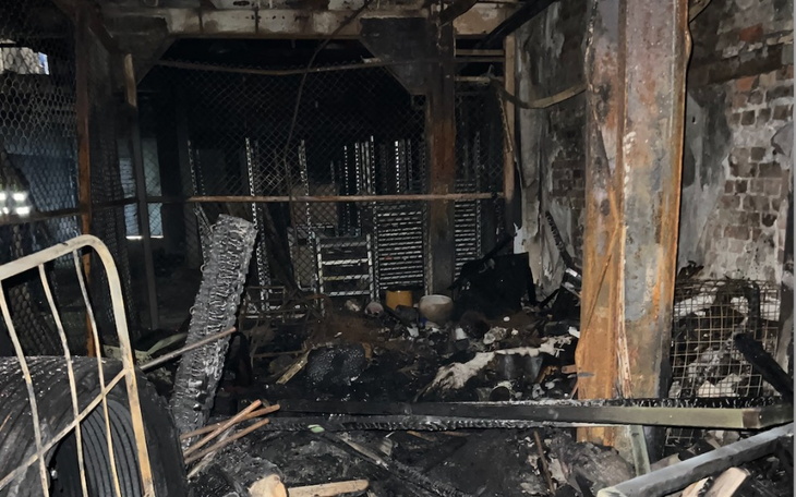 Zbiórka Zbiórka na powstanie z popiołów - zdjęcie główne