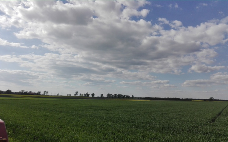 Zbiórka Wsparcie rodziny i spłata długu - zdjęcie główne