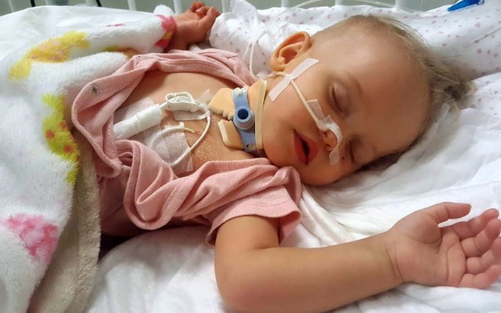 Zbiórka Aurelka pokonać Nowotwór Mózgu! - zdjęcie główne