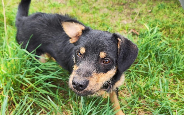 Zbiórka Mieszkam na ulicy pomożesz - zdjęcie główne