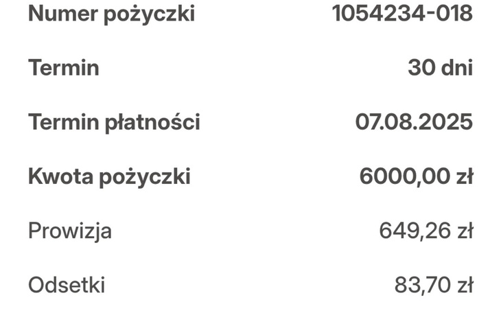 Dokument z informacjami o pożyczce.