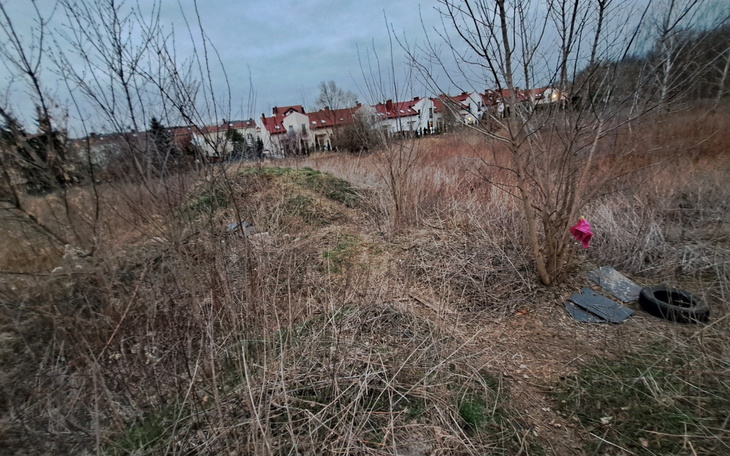 Widok na zarośnięte pole z domami w tle.