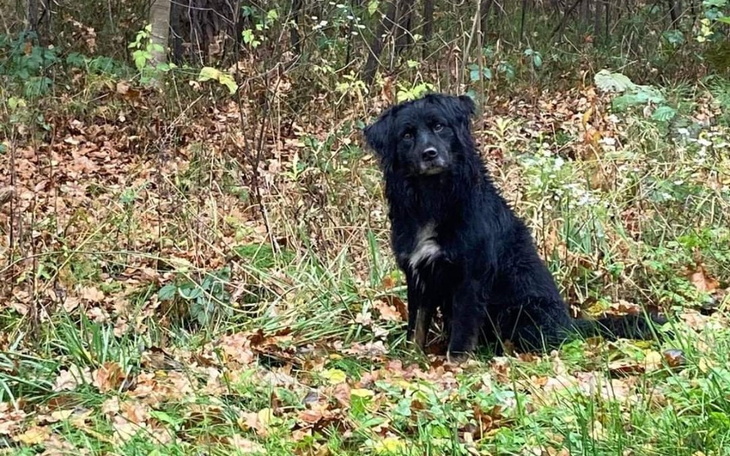 Zbiórka Zbieramy na operację Riko - zdjęcie główne