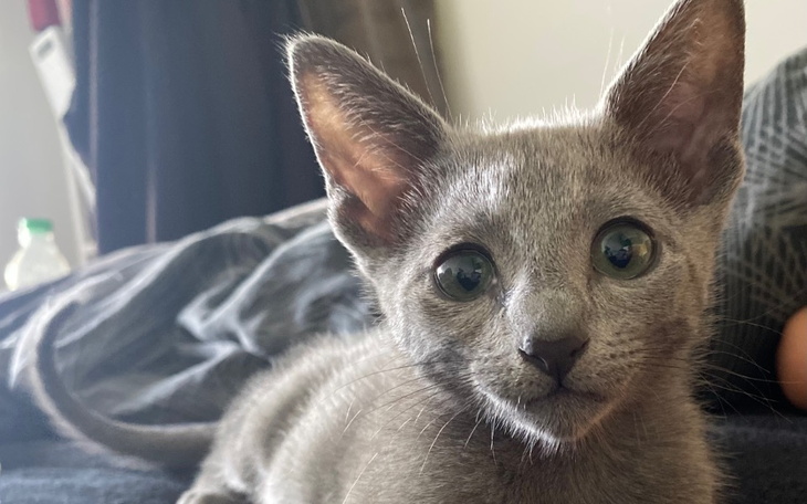 Zbiórka Podaruj życie Kajtkowi - zdjęcie główne