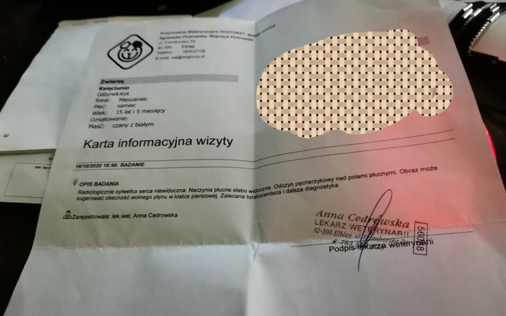 Zbiórka Na leczenie Księciunia - zdjęcie główne