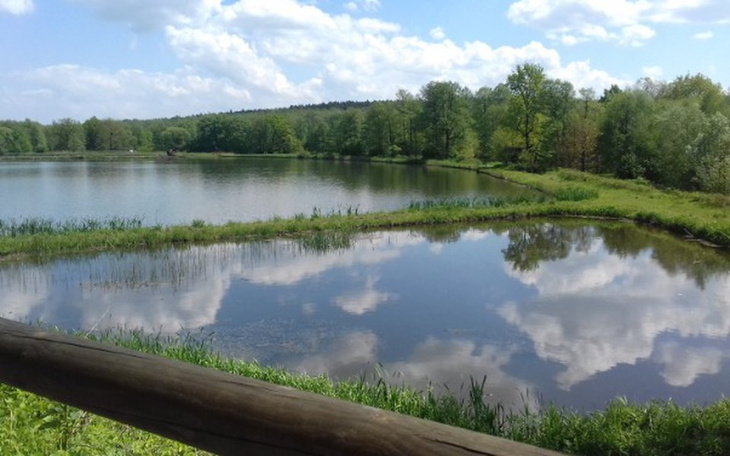 Zbiórka Komornik zabral mi cala wyplate - zdjęcie główne