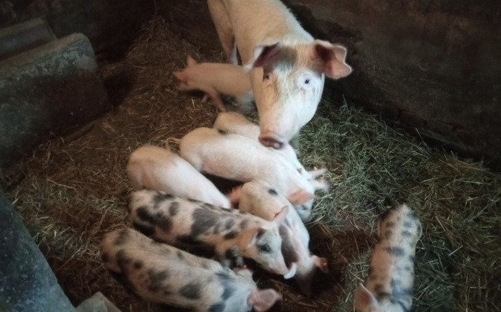 Zbiórka Święta dla niezwykłej Rodziny - zdjęcie główne