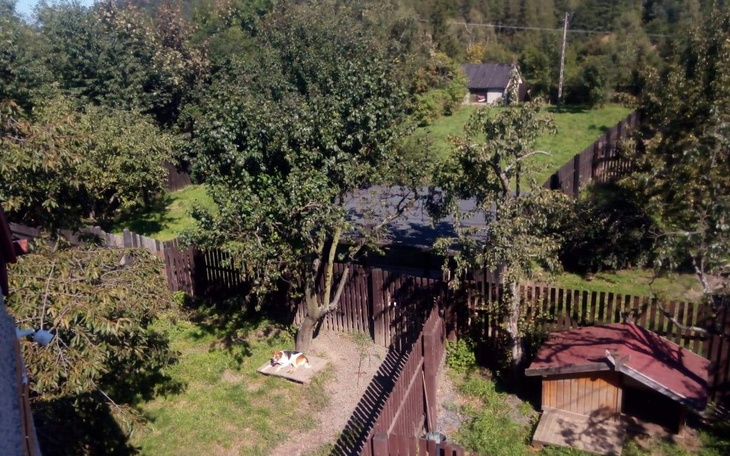 Zbiórka Na preparaty odrobaczające - zdjęcie główne