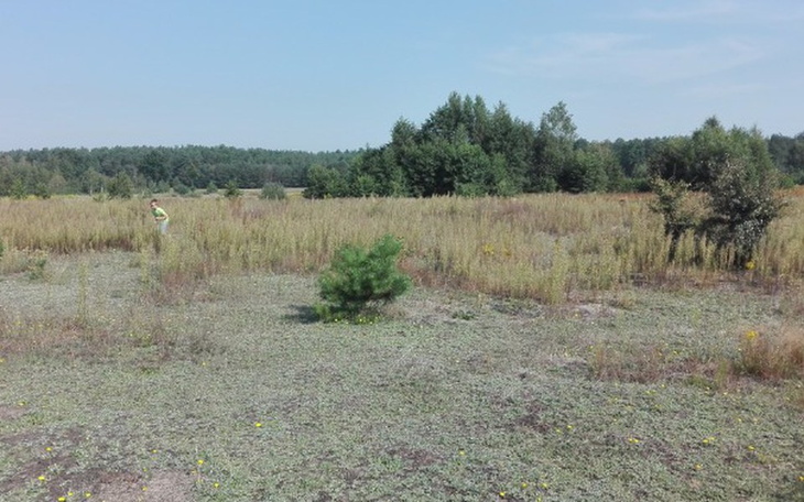 Zbiórka Nasz domek - zdjęcie główne