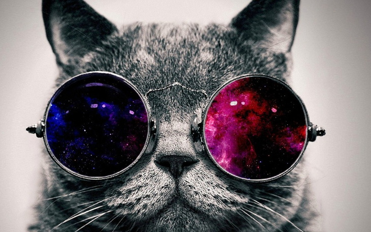 Zbiórka Pomoc Nowy Początek Życia - zdjęcie główne