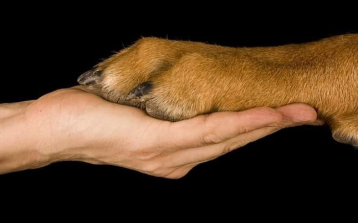 Zbiórka Bazarek listopad 2019 - zdjęcie główne