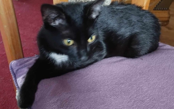 Zbiórka Pilne - diagnostyka i leczenie - zdjęcie główne