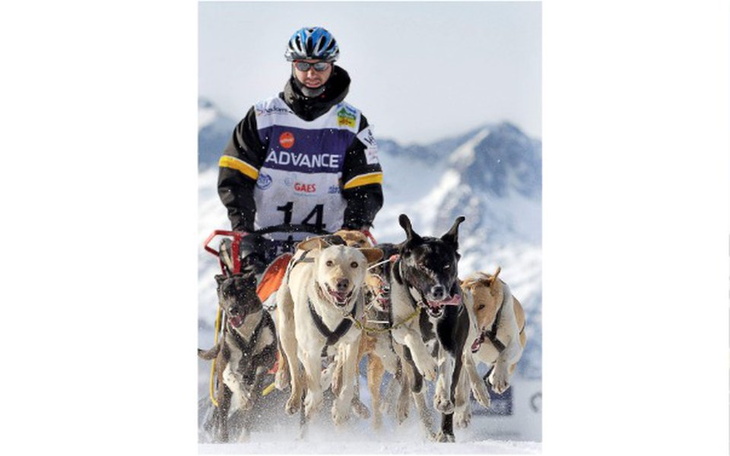 Zbiórka Musher w potrzebie!!! - zdjęcie główne