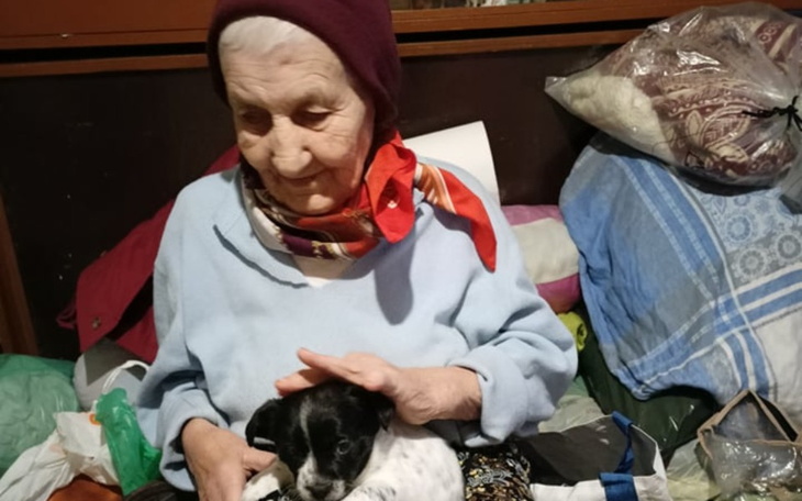 Zbiórka Pomoc dla psów i starszej Pani - zdjęcie główne