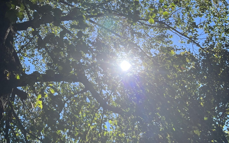Zbiórka Pobyt w ośrodku psychoterapii - zdjęcie główne