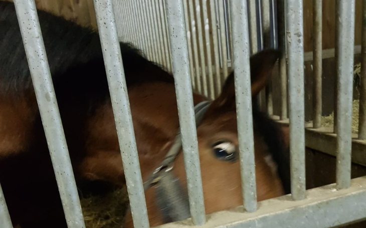 Zbiórka Leczenie Monaco - zdjęcie główne