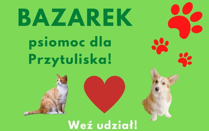 Zbiórka Bazarek- psiomoc dla Przytuliska - zdjęcie główne