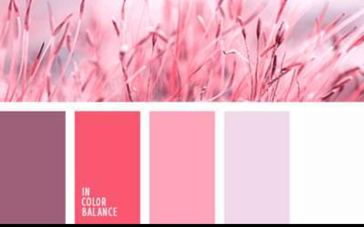 Zbiórka Zmiana wystroju - zdjęcie główne