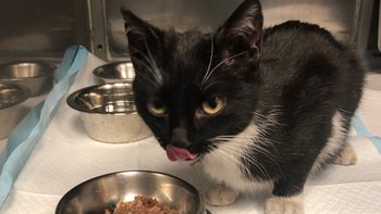 Zbiórka Winter - miniaturka zdjęcia