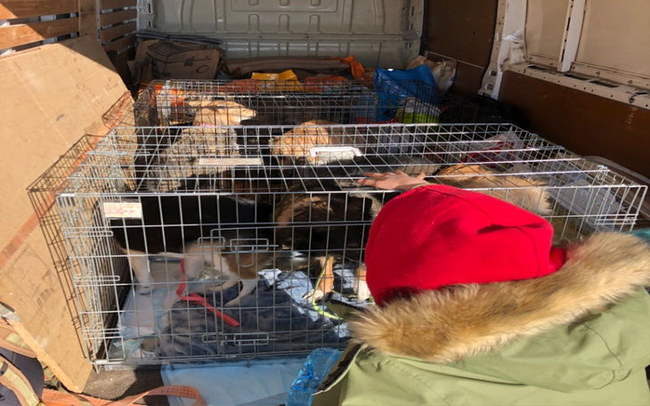 Zbiórka Na Ratunek dla Ukrainy - zdjęcie główne