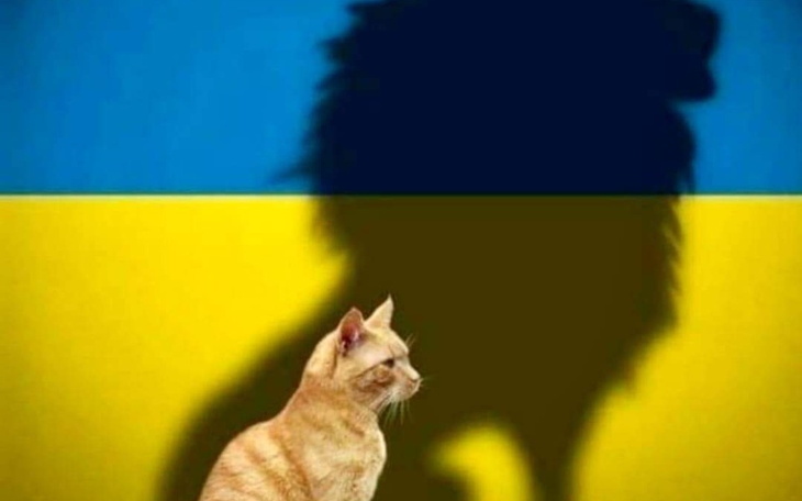 Zbiórka Ja wieże - zdjęcie główne