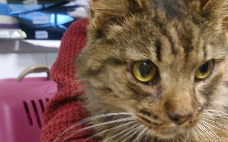 Zbiórka Nie pozwólmy śmierci go zabrać - zdjęcie główne