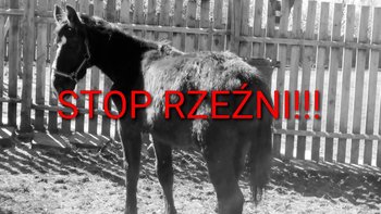 Zbiórka Dla Janka - miniaturka zdjęcia