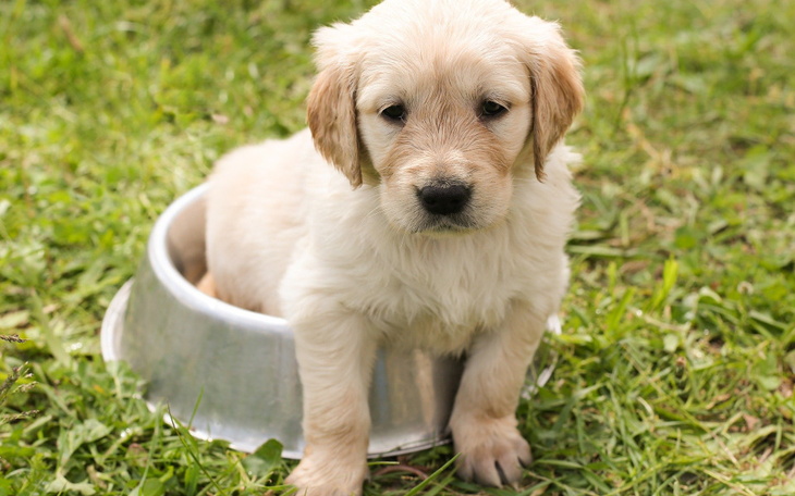 Zbiórka Materiały dla dzieci do pomocy - zdjęcie główne