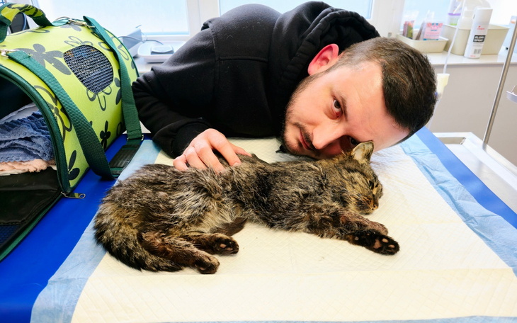 Mężczyzna przytula kota w klinice weterynaryjnej.