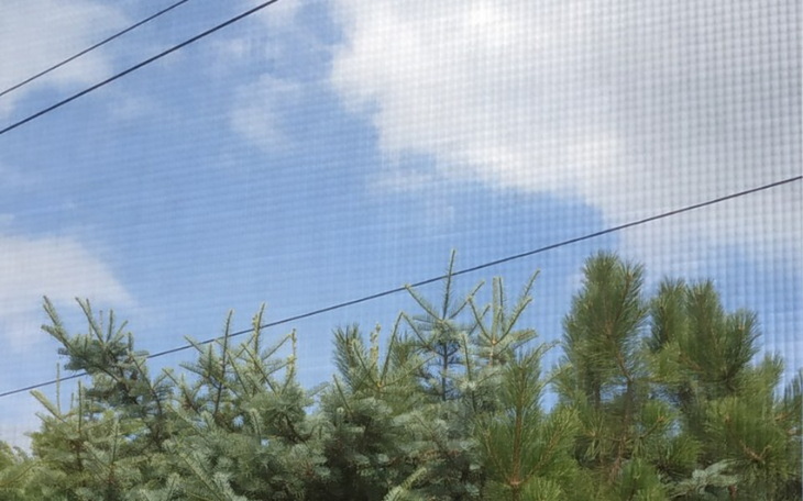 Zbiórka Spłata długów po nieudanej firmi - zdjęcie główne