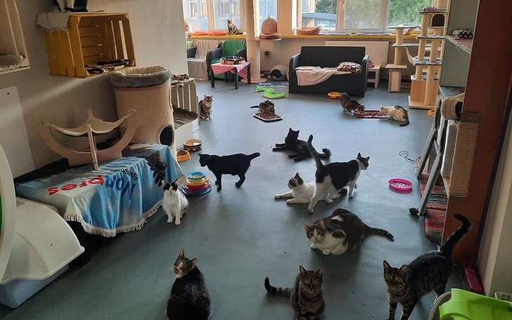 Zbiórka Mruczarnia, marzec - zdjęcie główne