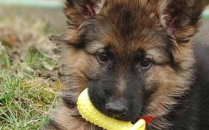 Zbiórka Komunia Tomka - zdjęcie główne