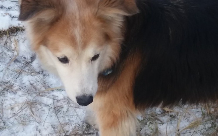 Zbiórka Leczenie guza listwy mlecznej. - zdjęcie główne