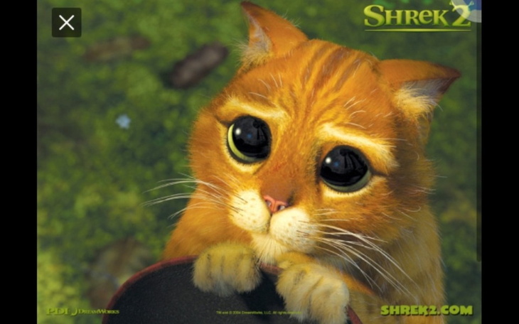 Zbiórka Xxxbdiaka - zdjęcie główne