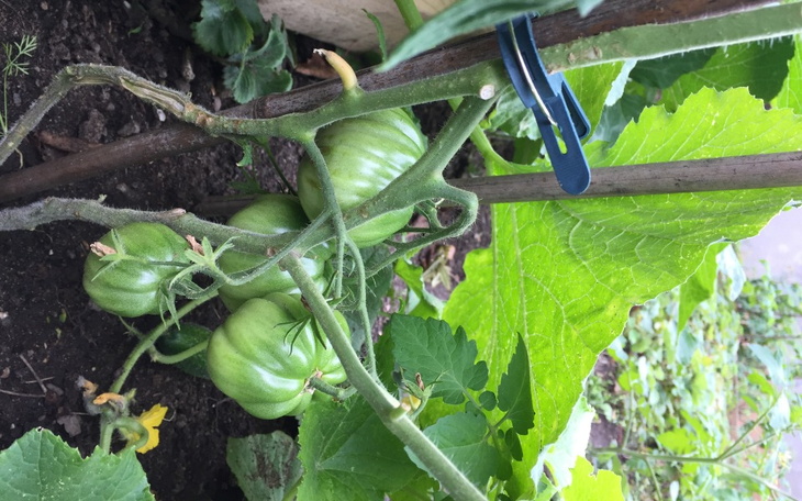 Zbiórka Zamknieta - zdjęcie główne