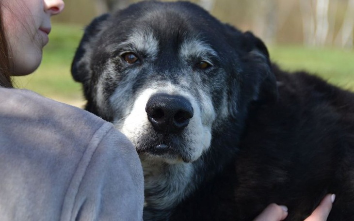 Zbiórka Leczenie naszych staruszków - zdjęcie główne