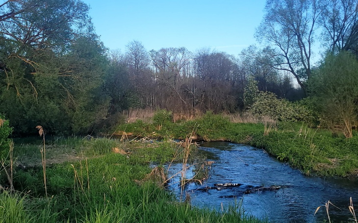 Zbiórka Na piękne samotne wakacje - zdjęcie główne