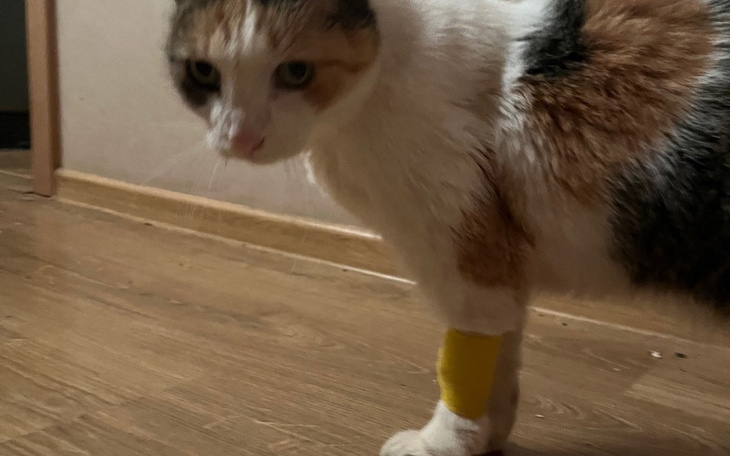 Zbiórka Operacje nowotworowe dla Michała - zdjęcie główne