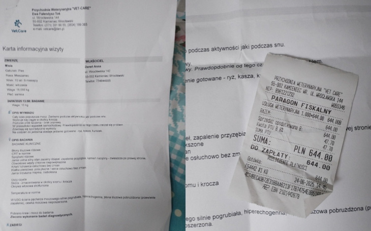 Dokumenty weterynaryjne i paragon na tle kolorowej pościeli.
