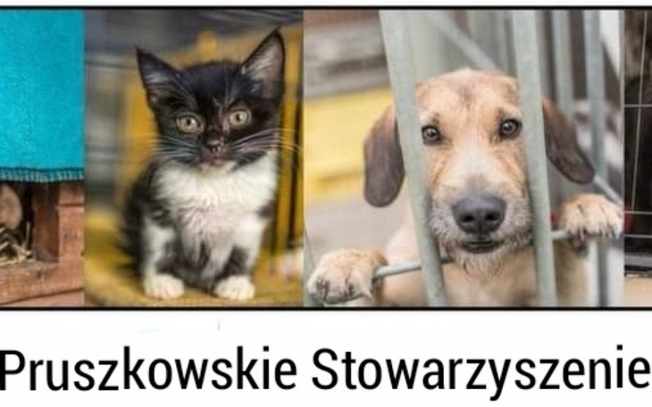 Zbiórka III ZBIÓRKA DLA PSnRZ - zdjęcie główne