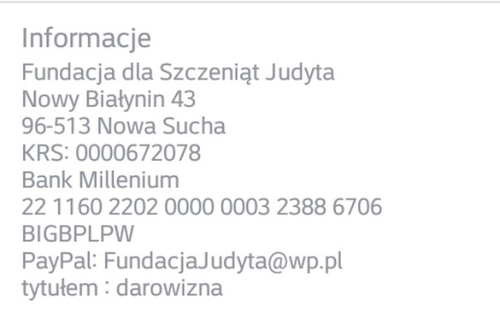 Zbiórka Dla fundacji dla Szczeniąt Judyt - zdjęcie główne