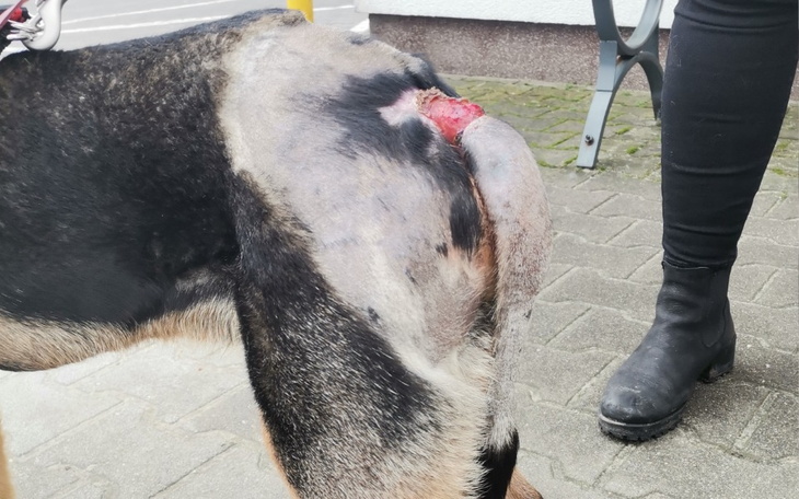 Zbiórka Tak bardzo mnie boli.... - zdjęcie główne