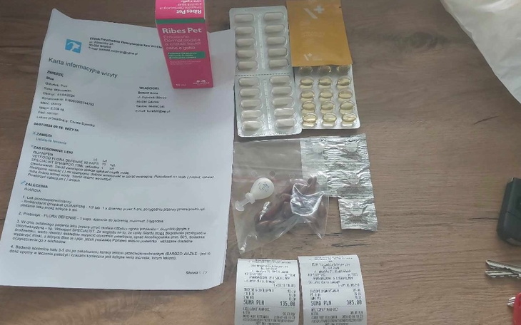 Zbiórka Leczenie LAMBLII Blue - zdjęcie główne