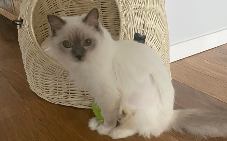 Zbiórka Długie życie dla Makusia - zdjęcie główne