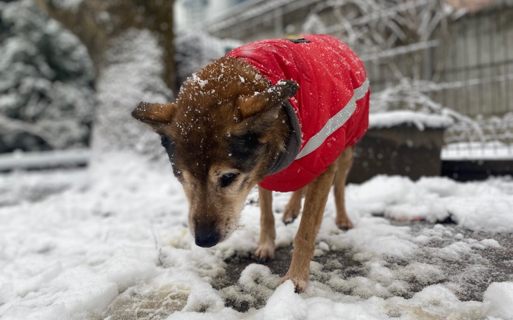 Chłopiec w garniturze stoi na tle błyszczącej dekoracji.