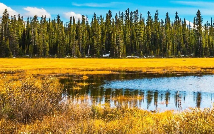 Zbiórka Rechabilitacje mojego brata - zdjęcie główne